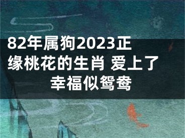 82年属狗2023正缘桃花的生肖 爱上了幸福似鸳鸯
