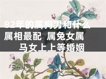 82年的属狗男和什么属相最配  属兔女属马女上上等婚姻