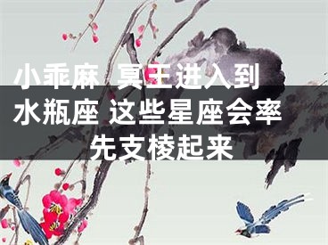 小乖麻  冥王进入到水瓶座 这些星座会率先支棱起来
