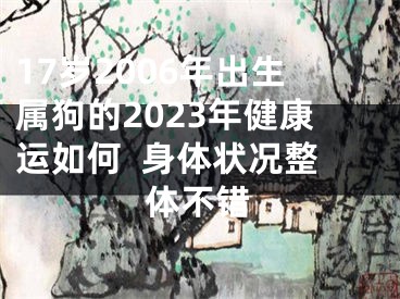17岁2006年出生属狗的2023年健康运如何  身体状况整体不错