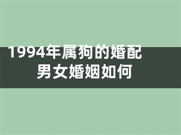 1994年属狗的婚配 男女婚姻如何