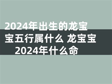 2024年出生的龙宝宝五行属什么 龙宝宝2024年什么命