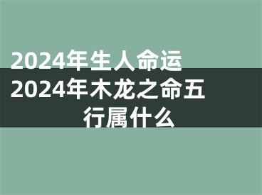 2024年生人命运 2024年木龙之命五行属什么