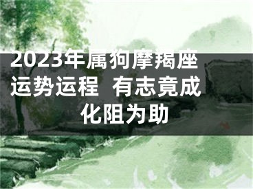 2023年属狗摩羯座运势运程  有志竟成化阻为助