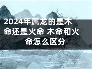 2024年属龙的是木命还是火命 木命和火命怎么区分