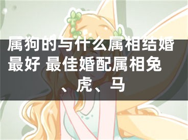 属狗的与什么属相结婚最好 最佳婚配属相兔、虎、马