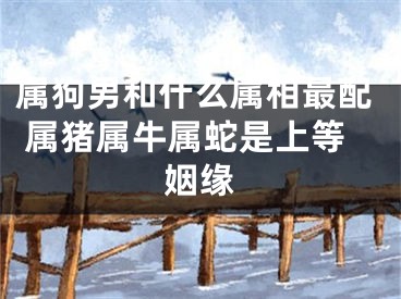 属狗男和什么属相最配 属猪属牛属蛇是上等姻缘