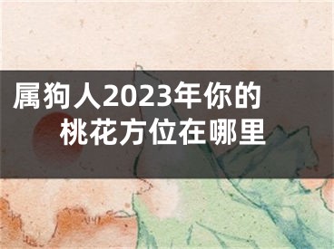 属狗人2023年你的桃花方位在哪里