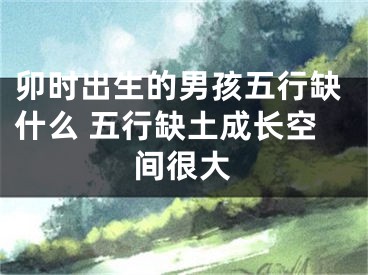 卯时出生的男孩五行缺什么 五行缺土成长空间很大