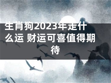 生肖狗2023年走什么运 财运可喜值得期待