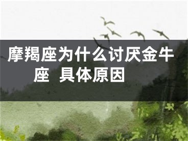 摩羯座为什么讨厌金牛座  具体原因