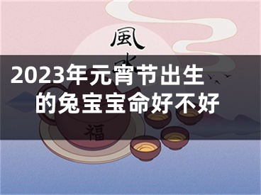 2023年元宵节出生的兔宝宝命好不好