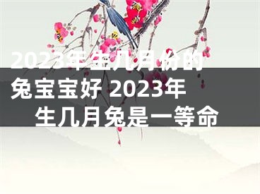 2023年生几月份的兔宝宝好 2023年生几月兔是一等命