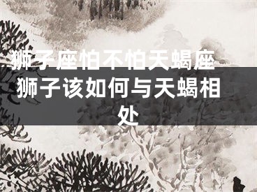 狮子座怕不怕天蝎座  狮子该如何与天蝎相处