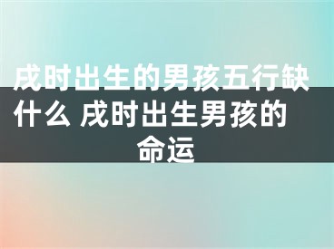 戌时出生的男孩五行缺什么 戌时出生男孩的命运