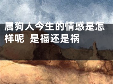 属狗人今生的情感是怎样呢  是福还是祸  