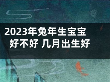 2023年兔年生宝宝好不好 几月出生好