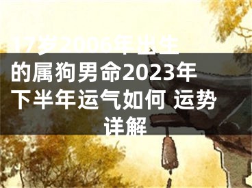 17岁2006年出生的属狗男命2023年下半年运气如何 运势详解