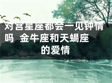 对宫星座都会一见钟情吗  金牛座和天蝎座的爱情