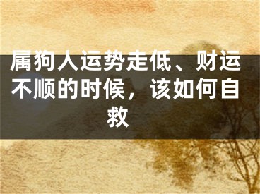 属狗人运势走低、财运不顺的时候，该如何自救 