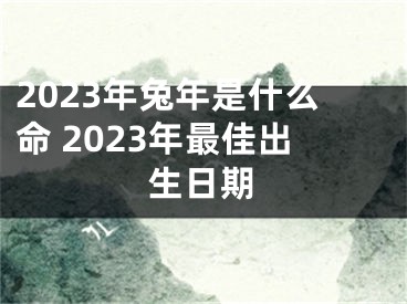 2023年兔年是什么命 2023年最佳出生日期