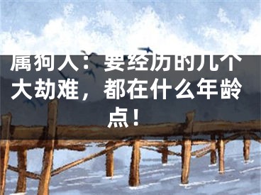 属狗人：要经历的几个大劫难，都在什么年龄点！
