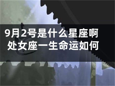 9月2号是什么星座啊 处女座一生命运如何