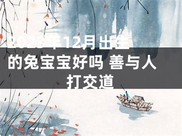 2023年12月出生的兔宝宝好吗 善与人打交道
