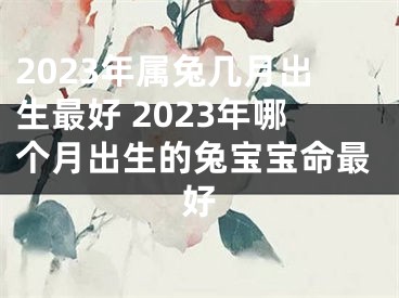 2023年属兔几月出生最好 2023年哪个月出生的兔宝宝命最好