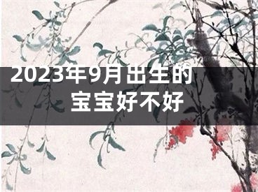 2023年9月出生的宝宝好不好