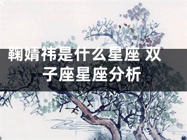 鞠婧祎是什么星座 双子座星座分析