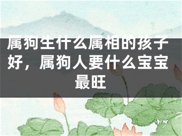 属狗生什么属相的孩子好，属狗人要什么宝宝最旺