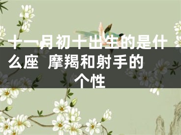 十一月初十出生的是什么座  摩羯和射手的个性