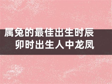 属兔的最佳出生时辰 卯时出生人中龙凤