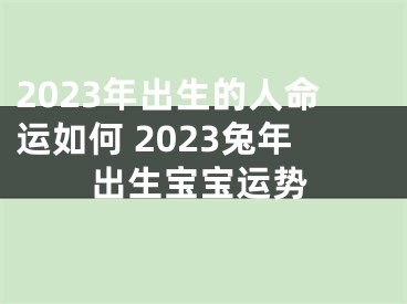 2023年出生的人命运如何 2023兔年出生宝宝运势
