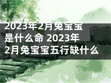 2023年2月兔宝宝是什么命 2023年2月兔宝宝五行缺什么