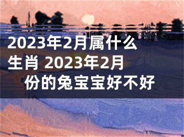2023年2月属什么生肖 2023年2月份的兔宝宝好不好