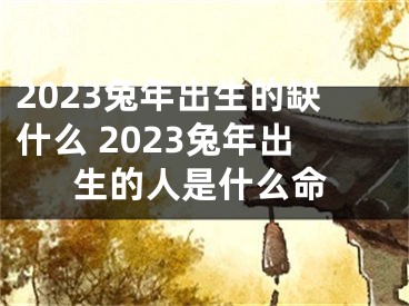 2023兔年出生的缺什么 2023兔年出生的人是什么命