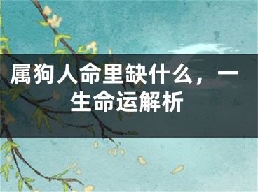 属狗人命里缺什么，一生命运解析