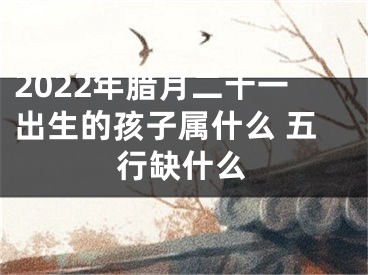 2022年腊月二十一出生的孩子属什么 五行缺什么