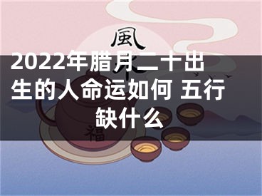 2022年腊月二十出生的人命运如何 五行缺什么
