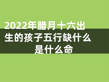2022年腊月十六出生的孩子五行缺什么 是什么命