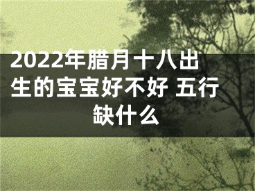 2022年腊月十八出生的宝宝好不好 五行缺什么