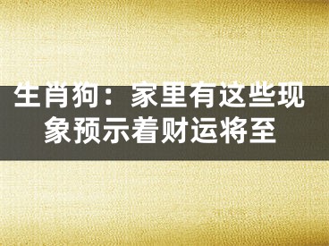 生肖狗：家里有这些现象预示着财运将至