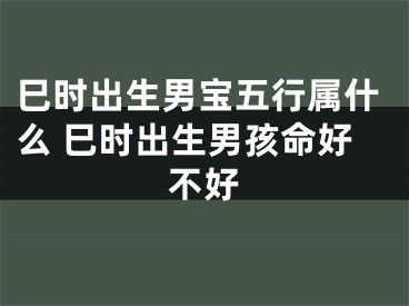 巳时出生男宝五行属什么 巳时出生男孩命好不好