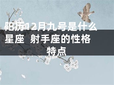 阳历12月九号是什么星座  射手座的性格特点
