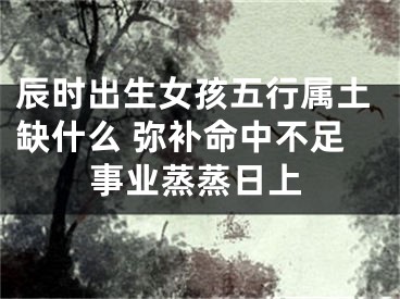辰时出生女孩五行属土缺什么 弥补命中不足事业蒸蒸日上