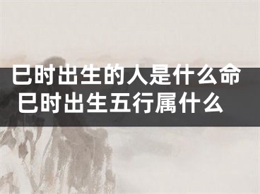 巳时出生的人是什么命 巳时出生五行属什么