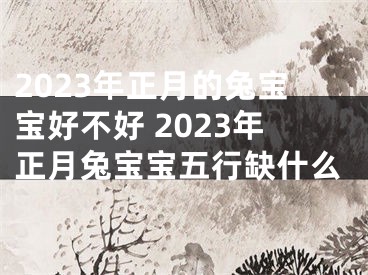 2023年正月的兔宝宝好不好 2023年正月兔宝宝五行缺什么