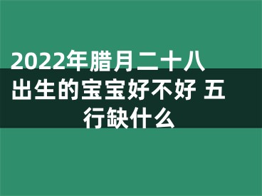 2022年腊月二十八出生的宝宝好不好 五行缺什么